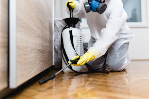 Best Mosquito Control Services  in Holmen, WI