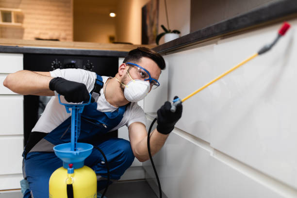 Best Local Pest Control Services  in Holmen, WI