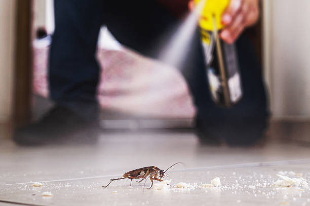 Best Residential Pest Control  in Holmen, WI