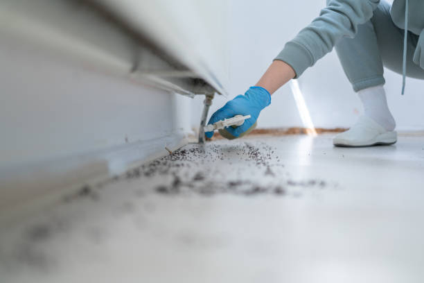 Best Best Pest Control Companies  in Holmen, WI